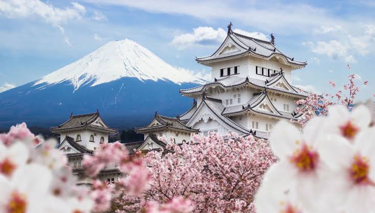 Japan Cherry Blossom
